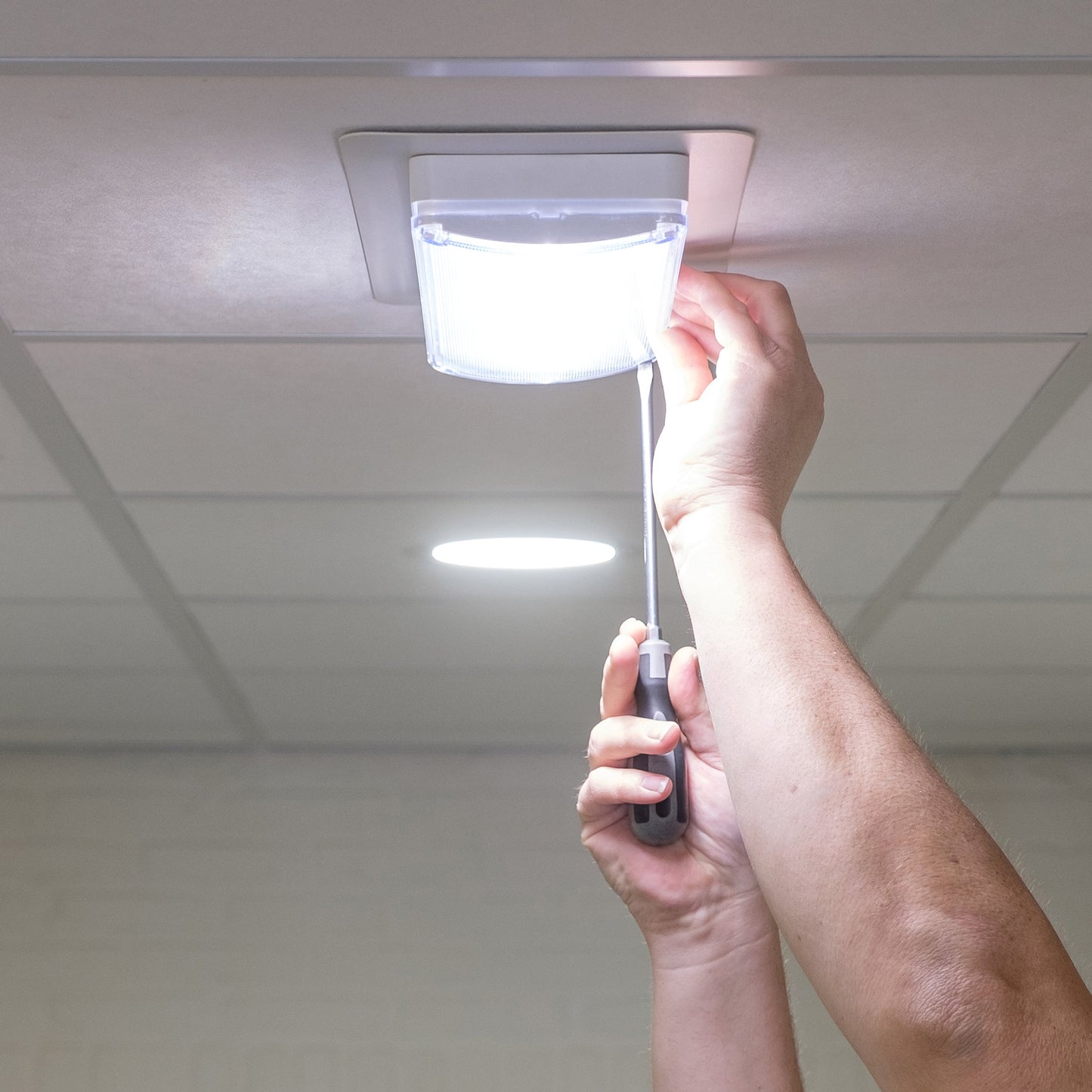 Adurolight® emergency, orientation and escape route lighting, Arno, 230 V, 3 W, battery life 2 hours