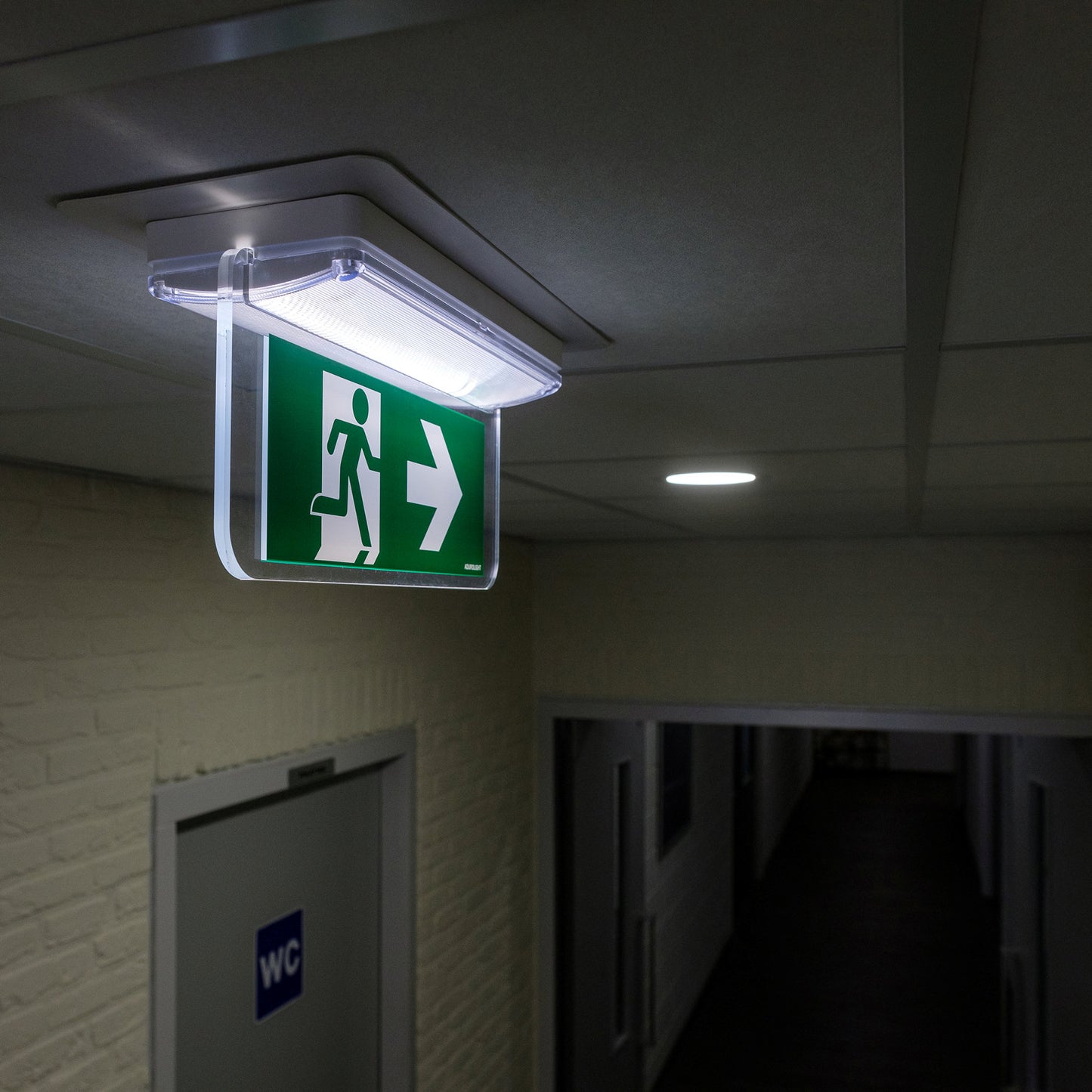 Adurolight® emergency, orientation and escape route lighting, Arno, 230 V, 3 W, battery life 2 hours