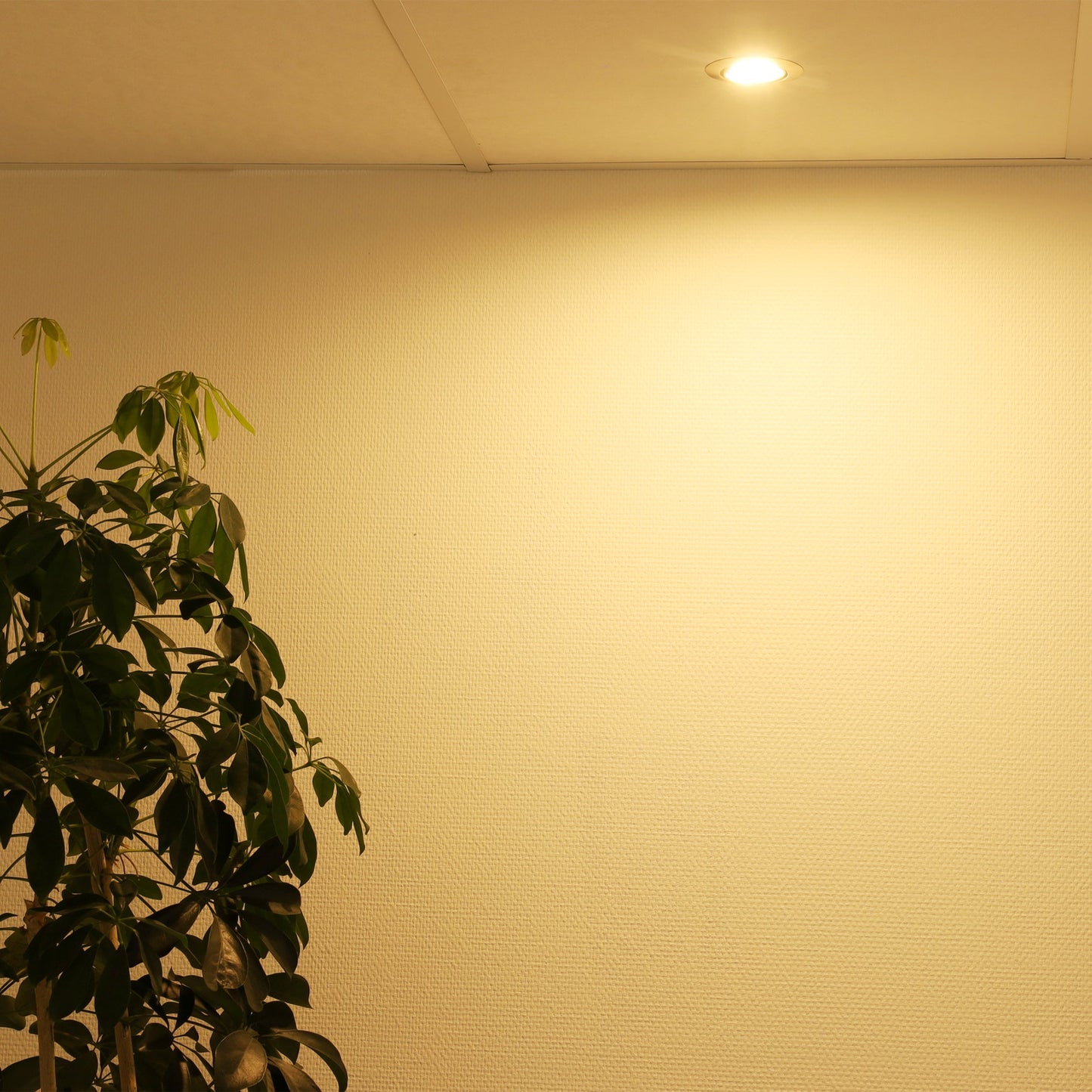 detailimage_006