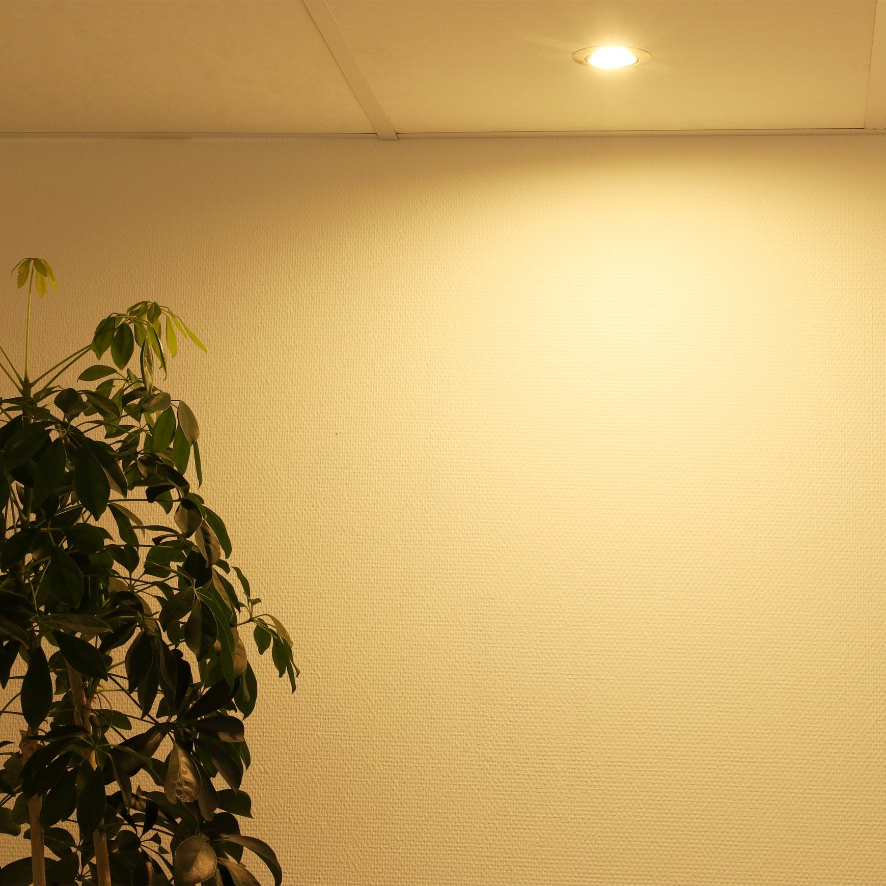 detailimage_006