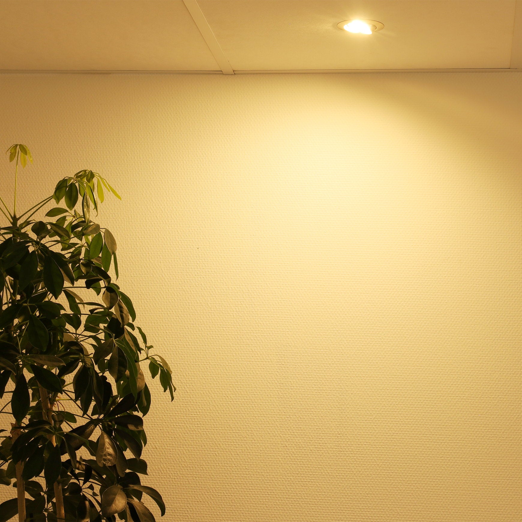 detailimage_007