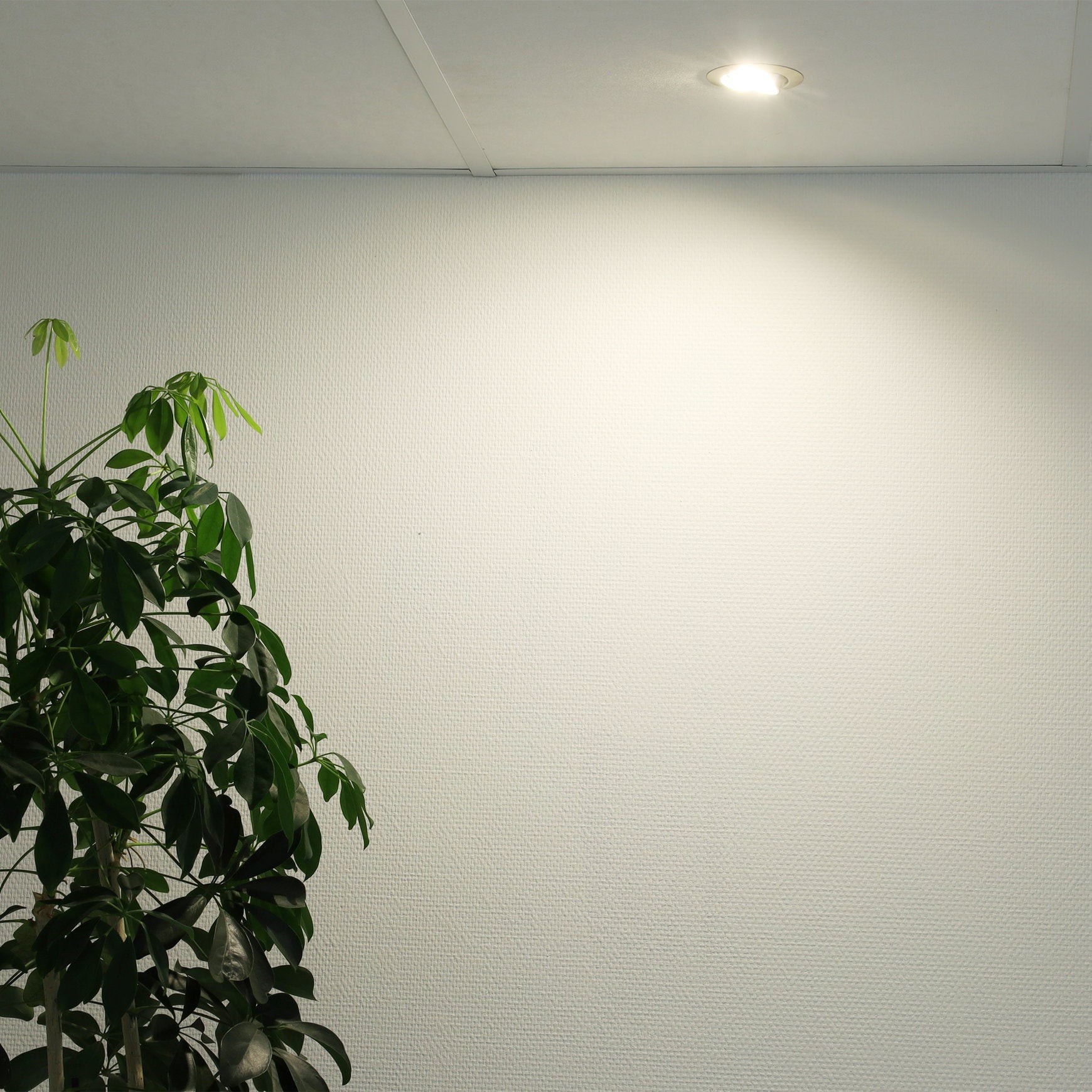 detailimage_009