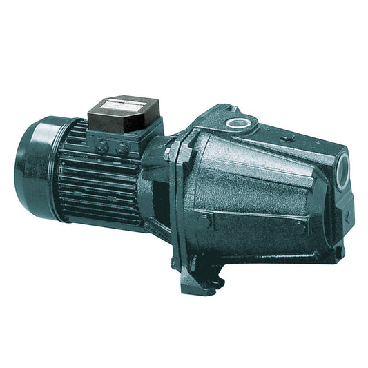 Ebara self-priming centrifugal pump, cast iron, type AGA 1.00M, 0.75 kW, 230 V