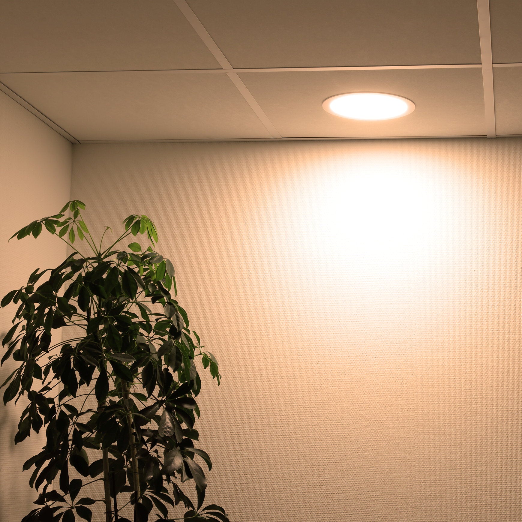detailimage_006