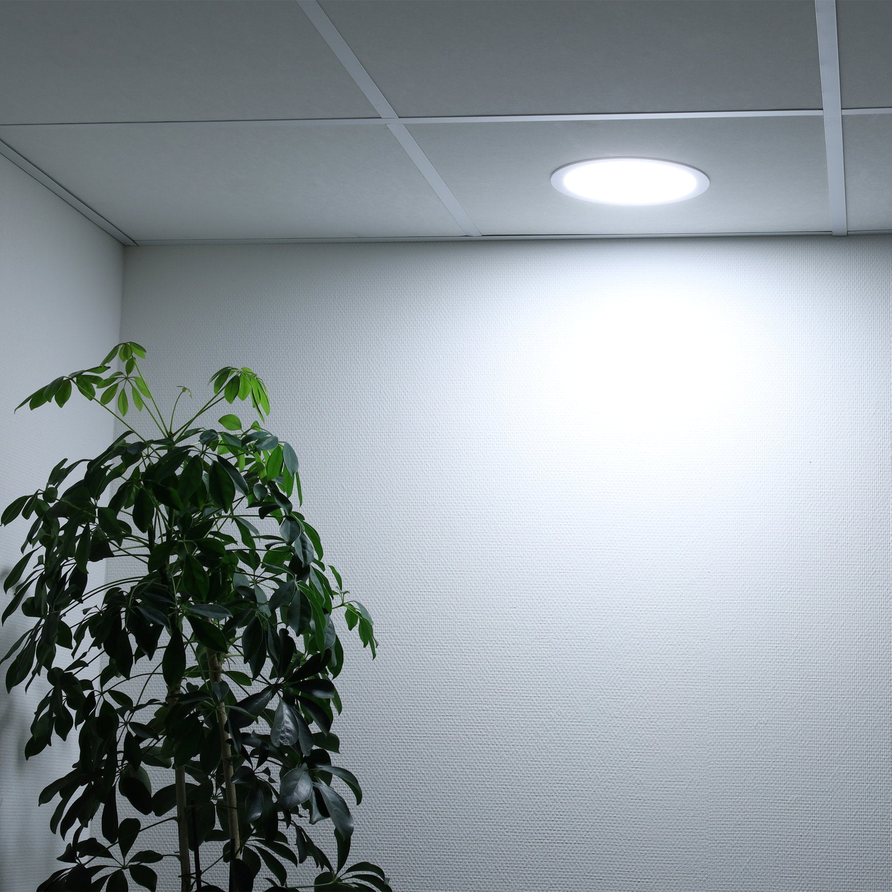 detailimage_005